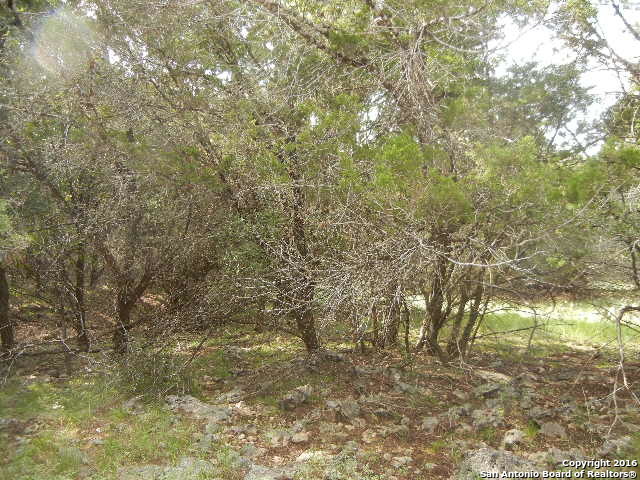 LOT 17 GUADALUPE DR, Spring Branch, TX 78070