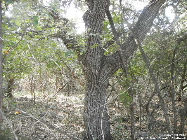 LOT 17 GUADALUPE DR, Spring Branch, TX 78070