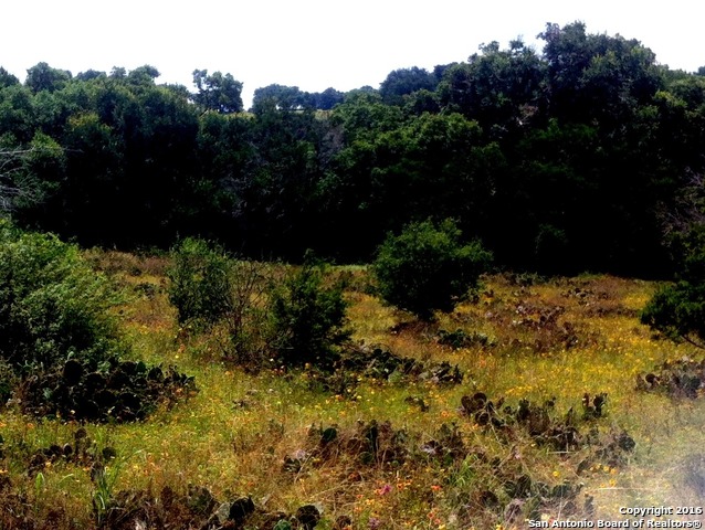 6808 Spring Branch Rd, Spring Branch, TX 78070