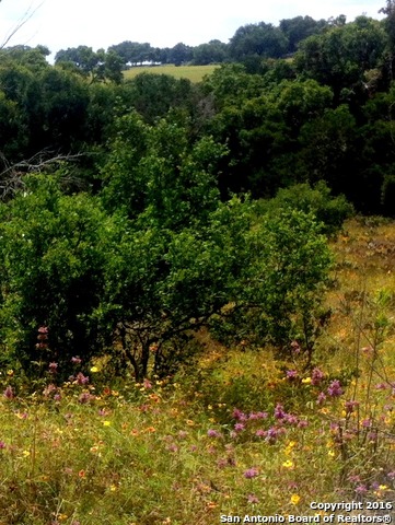 6808 Spring Branch Rd, Spring Branch, TX 78070