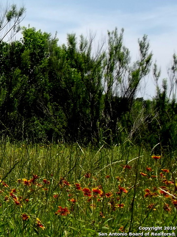 6808 Spring Branch Rd, Spring Branch, TX 78070
