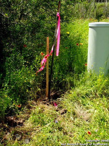 6808 Spring Branch Rd, Spring Branch, TX 78070