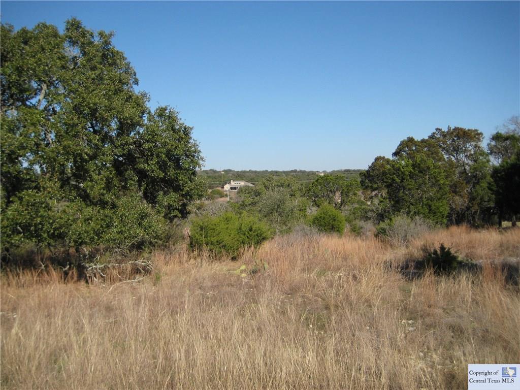 137 High Point Circle, Spring Branch, TX 78070