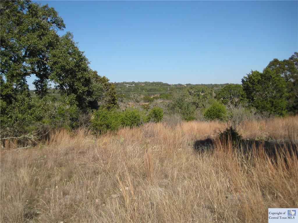 137 High Point Circle, Spring Branch, TX 78070