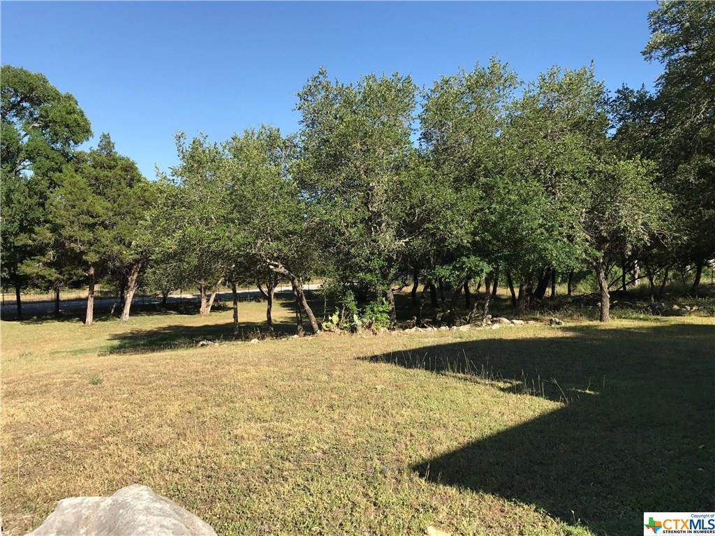 Spring Branch, TX 78070