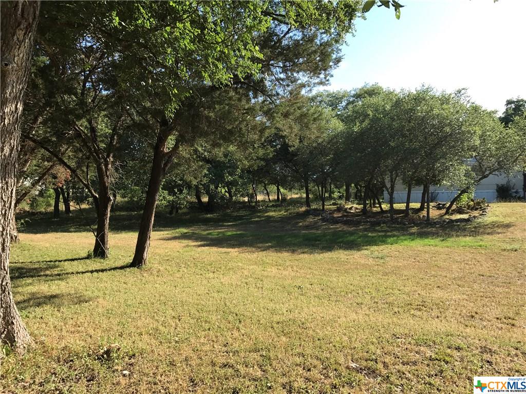 Spring Branch, TX 78070