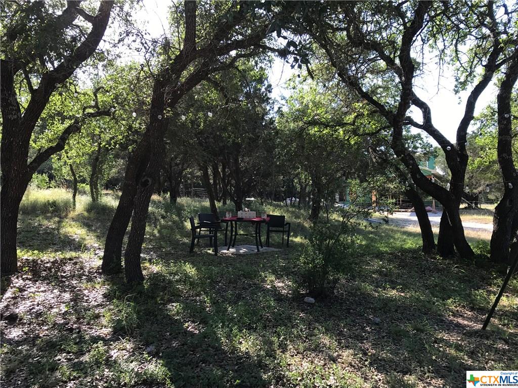 Spring Branch, TX 78070