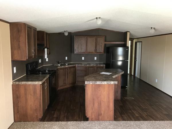 14107 Quarter Horse ,TX, Von Ormy, 78073