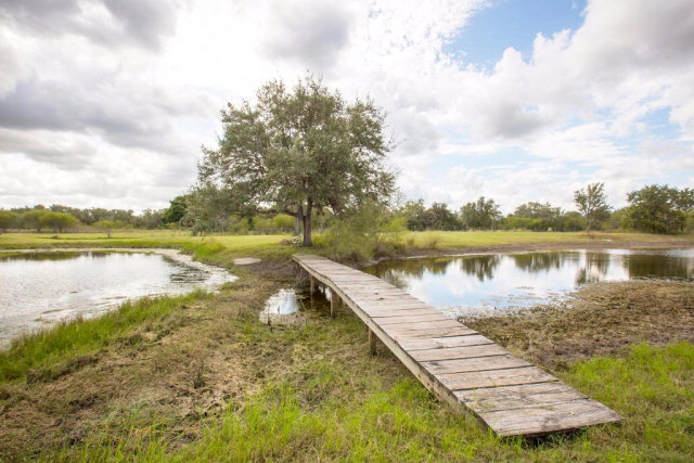 424.08 Acres Hwy 59, Berclair, TX 78107