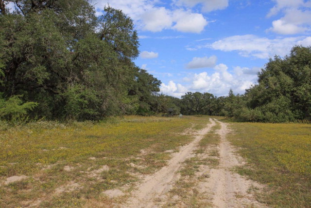 424.08 Acres Hwy 59, Berclair, TX 78107
