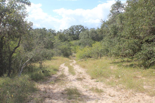 424.08 Acres Hwy 59, Berclair, TX 78107