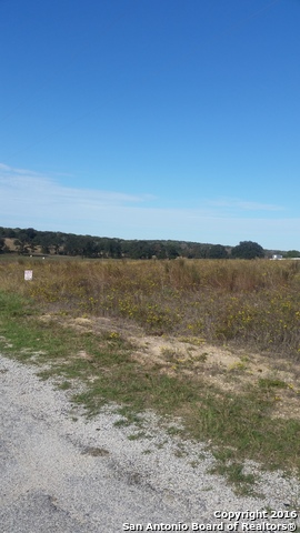 748 Lake Valley Dr, La Vernia, TX 78121