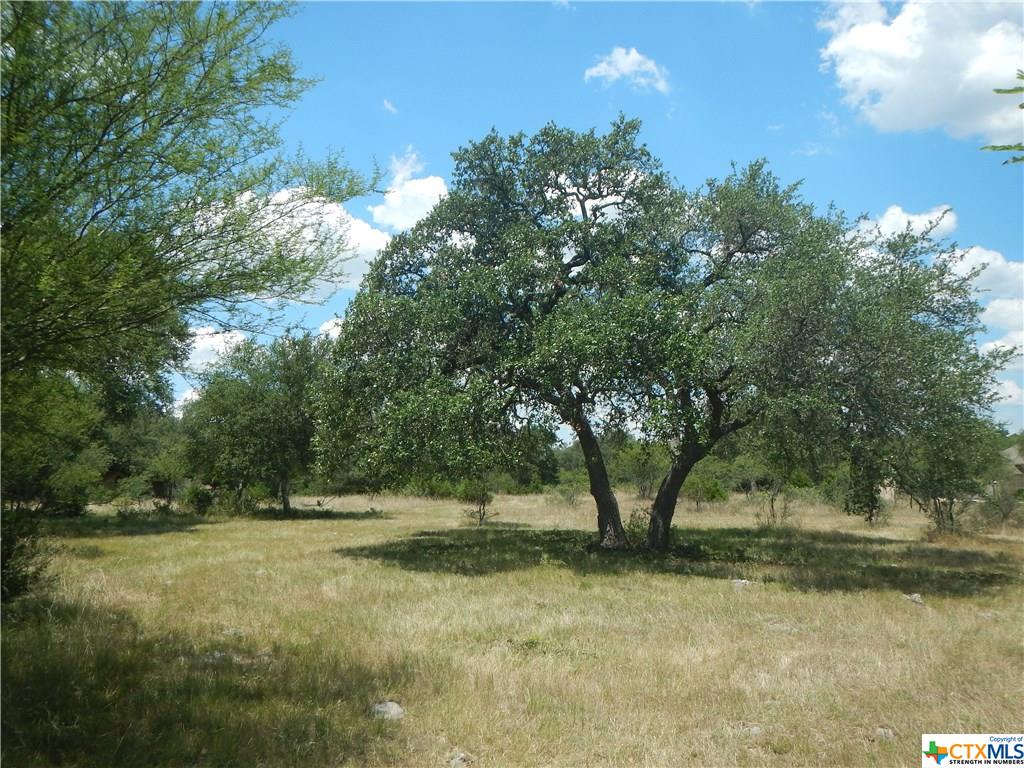 246 SAN MARCOS TRL, New Braunfels, TX 78132