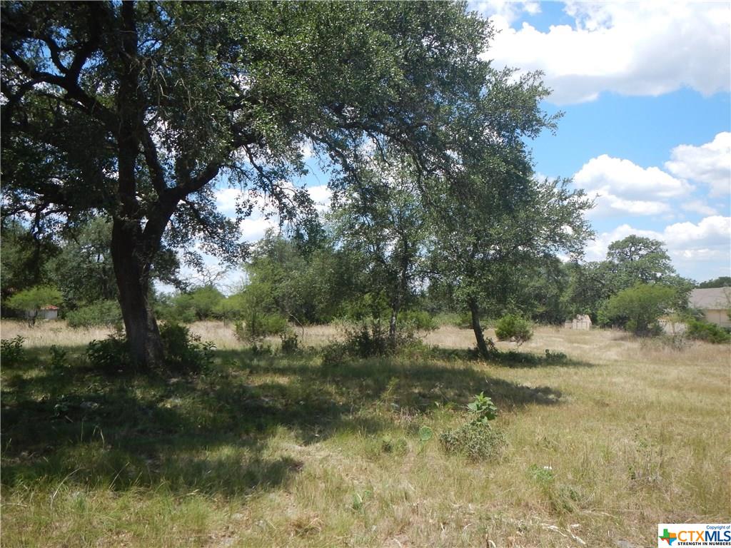 246 SAN MARCOS TRL, New Braunfels, TX 78132