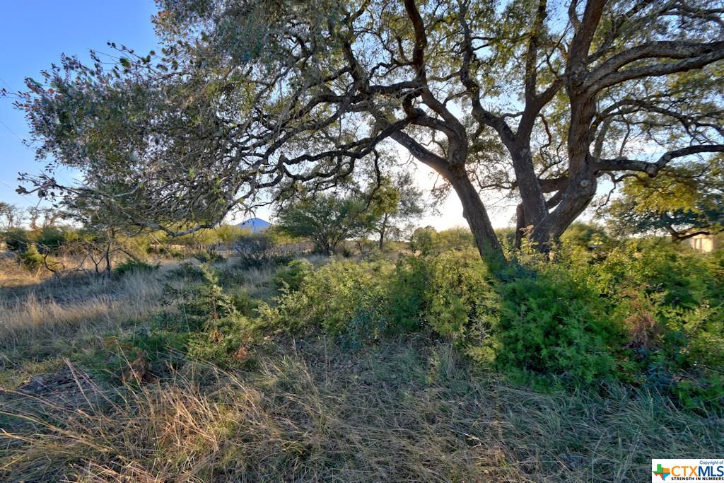 246 SAN MARCOS TRL, New Braunfels, TX 78132