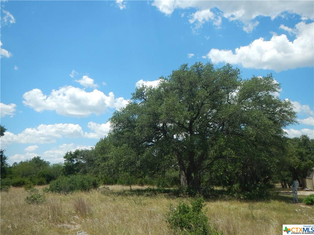 246 SAN MARCOS TRL, New Braunfels, TX 78132