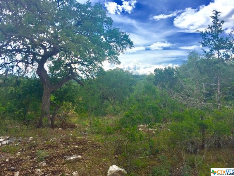 193 Longwood, New Braunfels, TX 78132