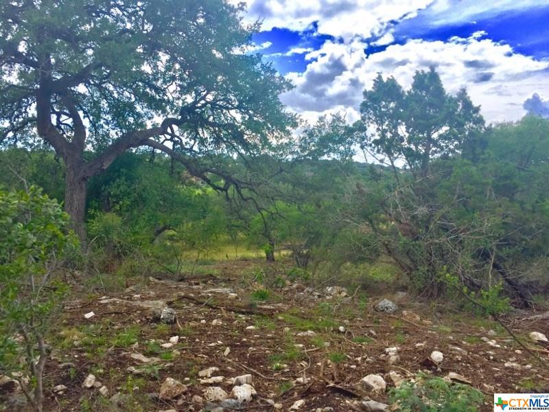 193 Longwood, New Braunfels, TX 78132