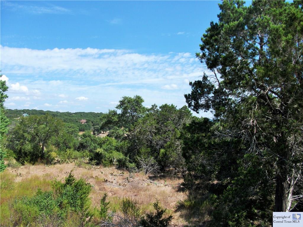441 Cliff View, Canyon Lake, TX 78133