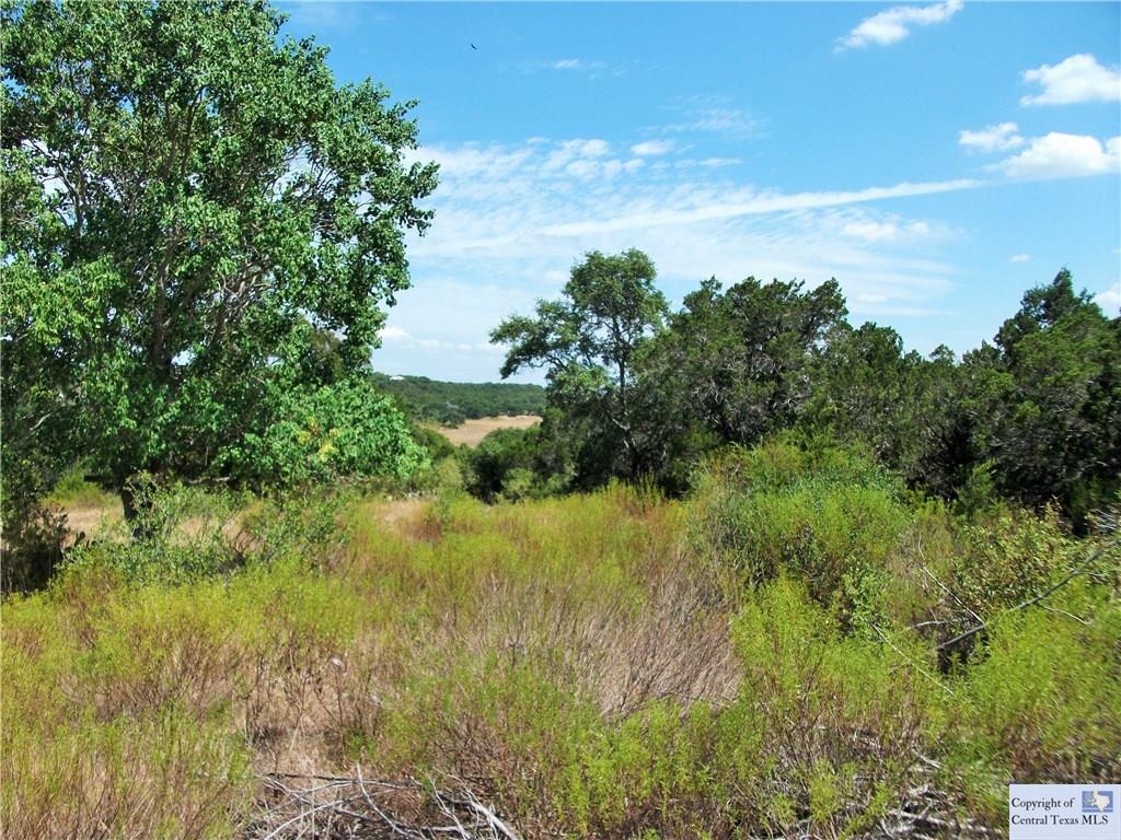441 Cliff View, Canyon Lake, TX 78133