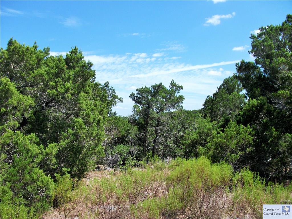 441 Cliff View, Canyon Lake, TX 78133