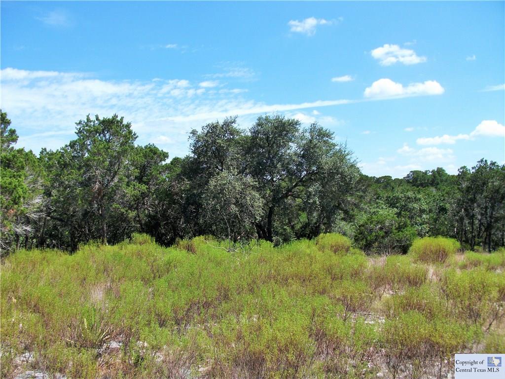 441 Cliff View, Canyon Lake, TX 78133