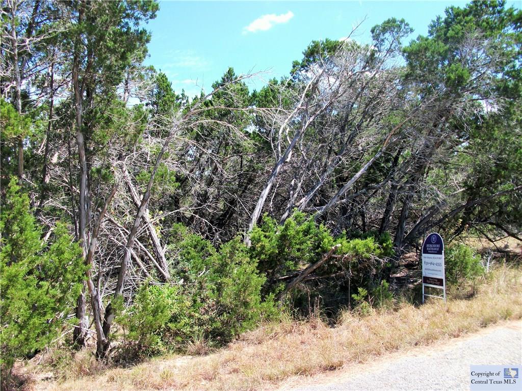 441 Cliff View, Canyon Lake, TX 78133