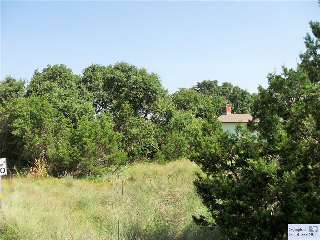 613 Scenic, Canyon Lake, TX 78133