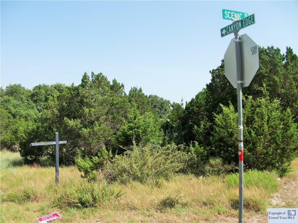 613 Scenic, Canyon Lake, TX 78133