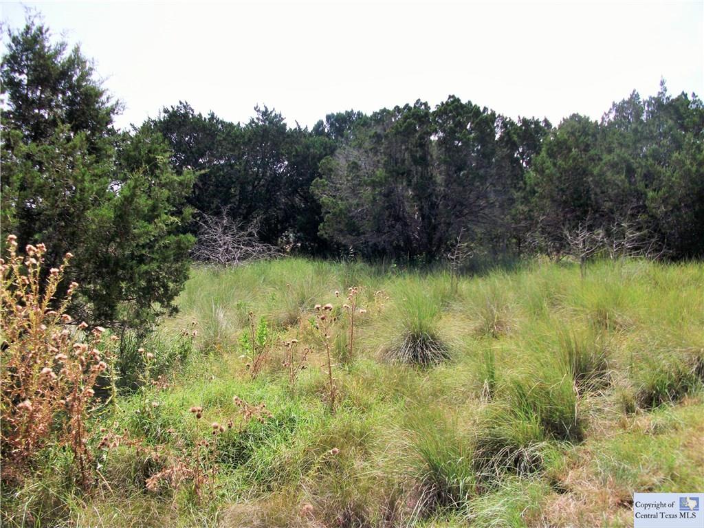 613 Scenic, Canyon Lake, TX 78133