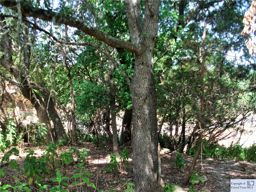 613 Scenic, Canyon Lake, TX 78133