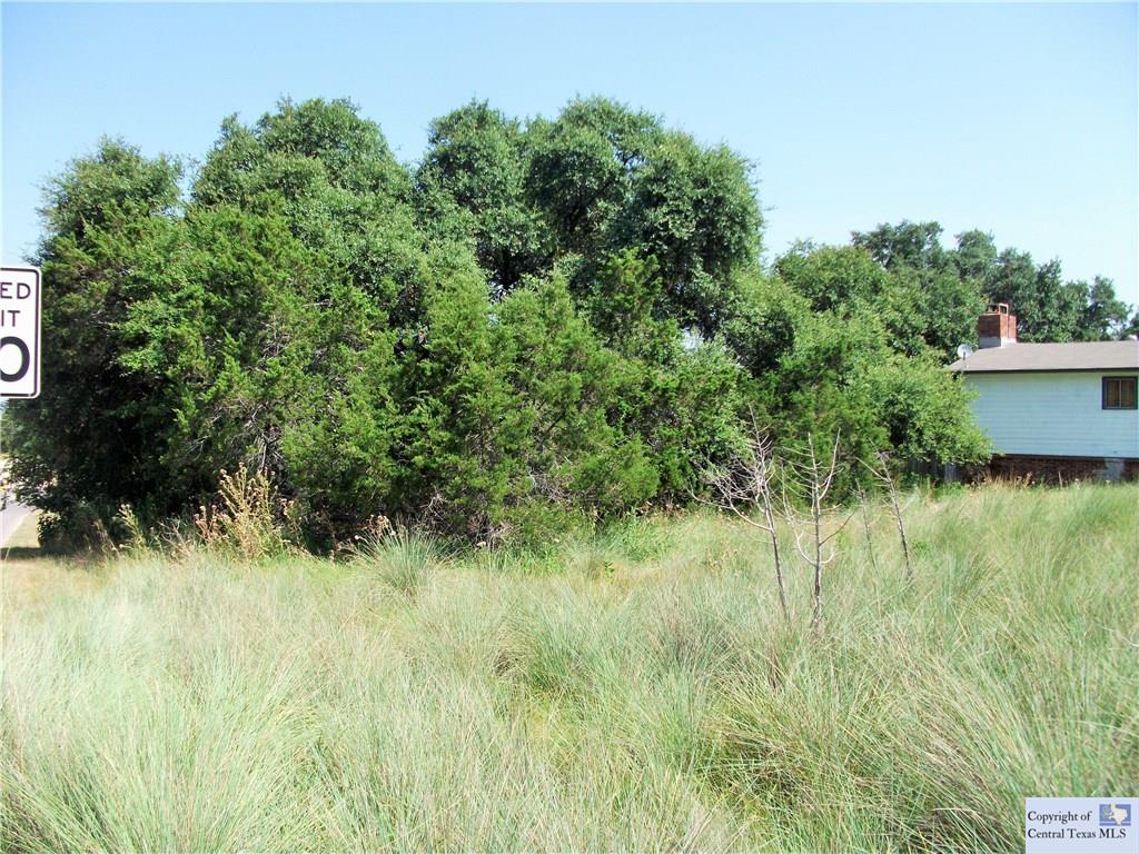 613 Scenic, Canyon Lake, TX 78133