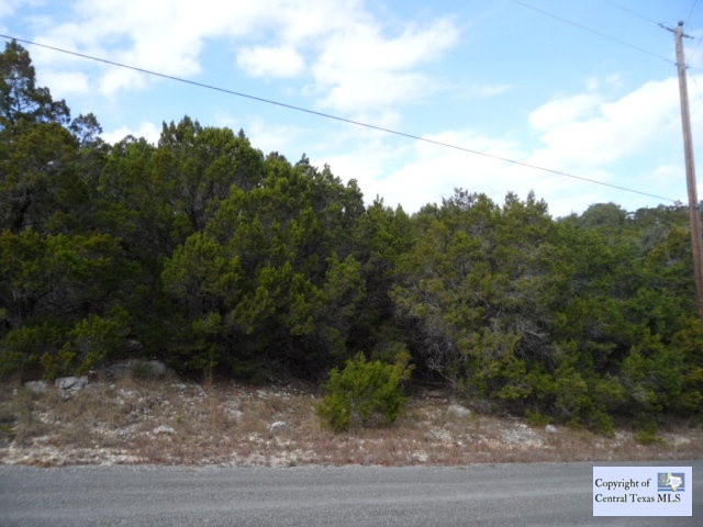 1170 Rose Lane, Canyon Lake, TX 78133