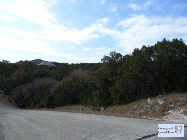 1436 Johnson Road, Canyon Lake, TX 78133