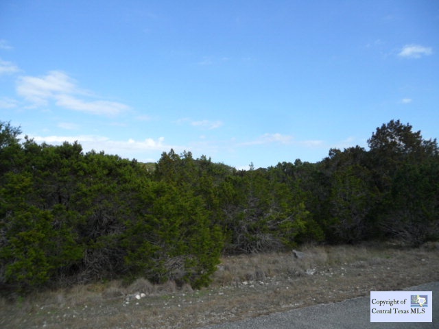 1436 Johnson Road, Canyon Lake, TX 78133