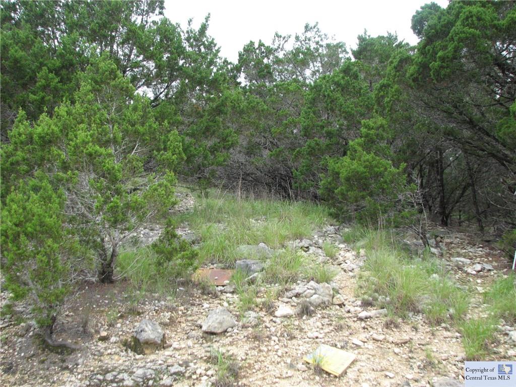 295 Delanoy Drive, Canyon Lake, TX 78133
