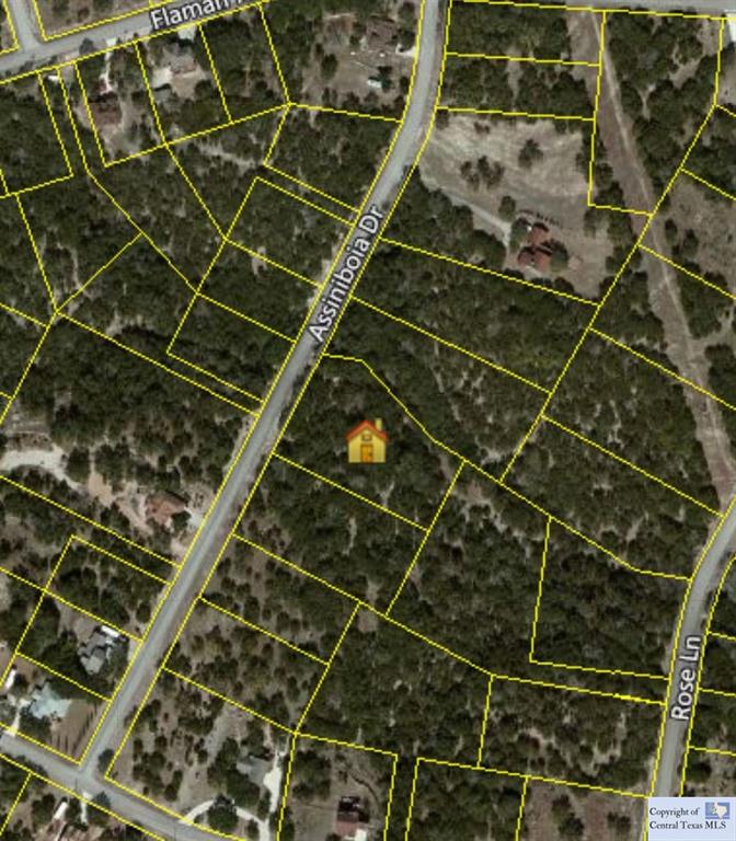 257 Assiniboia, Canyon Lake, TX 78133