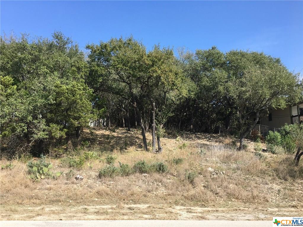 2046 Glenn Drive, Canyon Lake, TX 78133