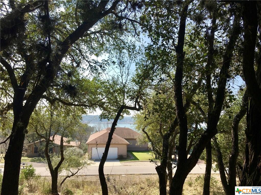 2046 Glenn Drive, Canyon Lake, TX 78133