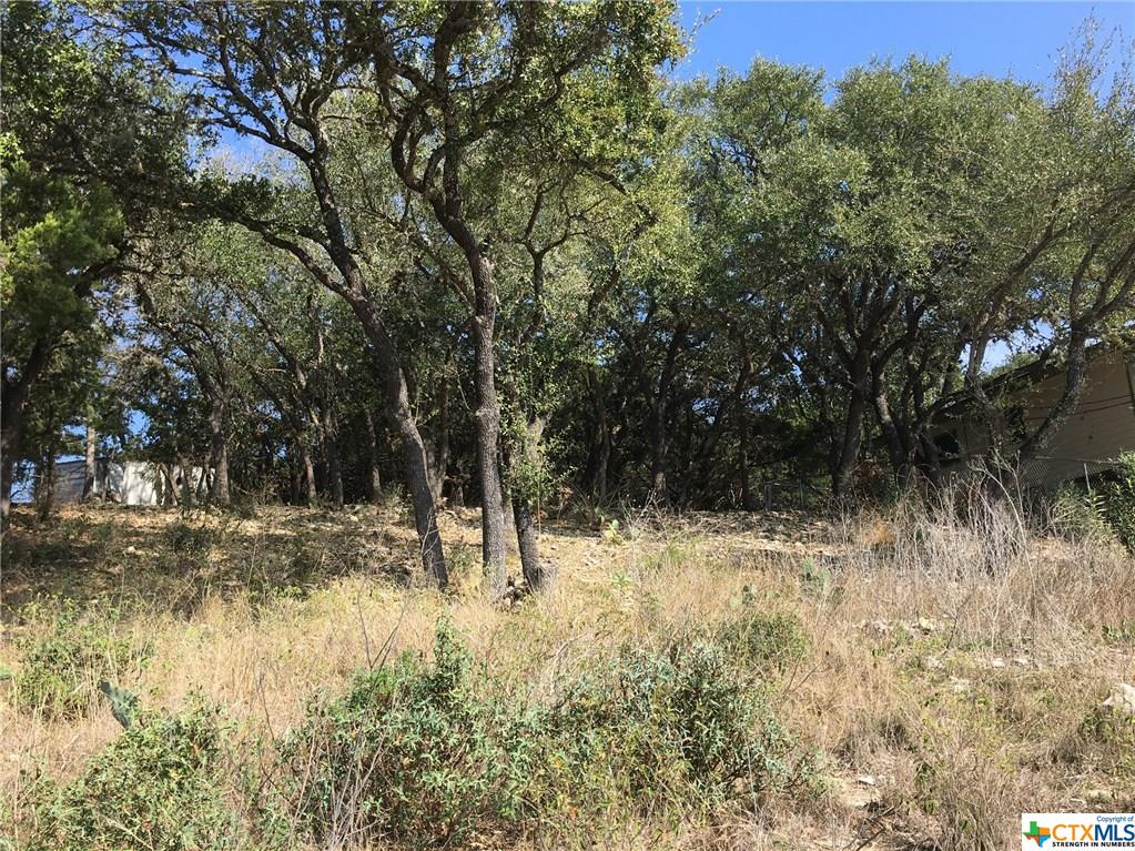 2046 Glenn Drive, Canyon Lake, TX 78133