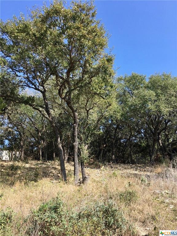 2046 Glenn Drive, Canyon Lake, TX 78133