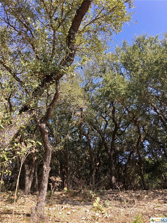2046 Glenn Drive, Canyon Lake, TX 78133