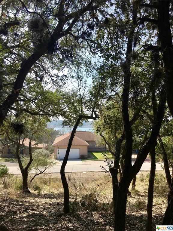 2046 Glenn Drive, Canyon Lake, TX 78133