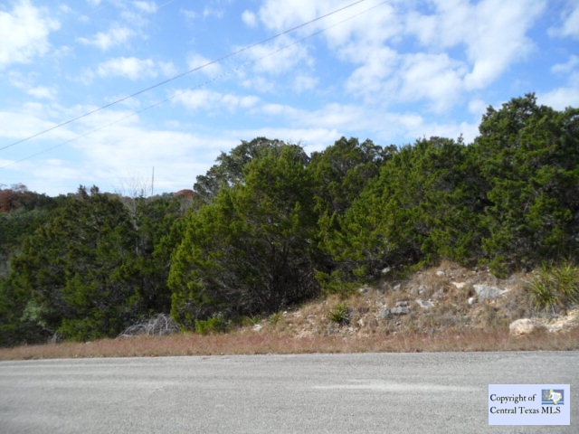 2321 Johnson Road, Canyon Lake, TX 78133