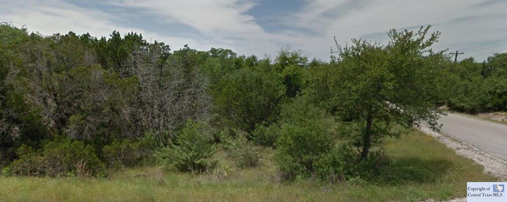 1016 Cougar Drive, Canyon Lake, TX 78133