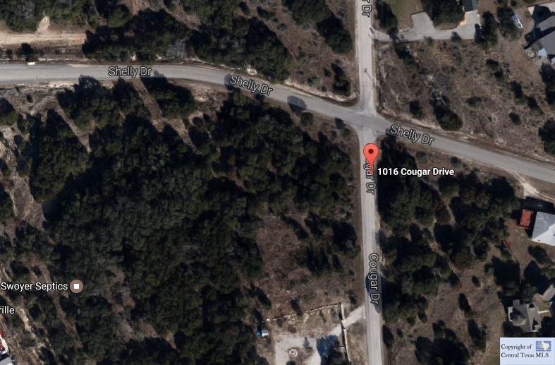 1016 Cougar Drive, Canyon Lake, TX 78133