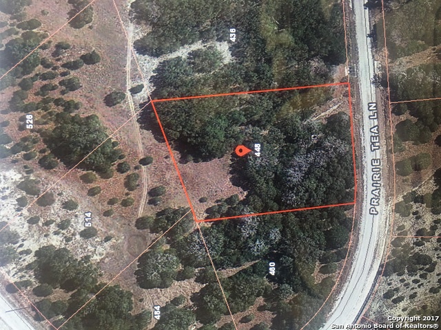 448 Prairie Tea Ln, Canyon Lake, TX 78133