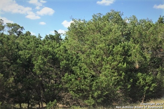 448 Prairie Tea Ln, Canyon Lake, TX 78133