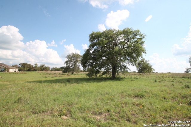 856 LAKE VALLEY DR, Stockdale, TX 78160