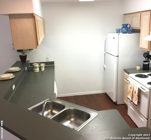 7560 Windsor Oaks, San Antonio, TX 78239